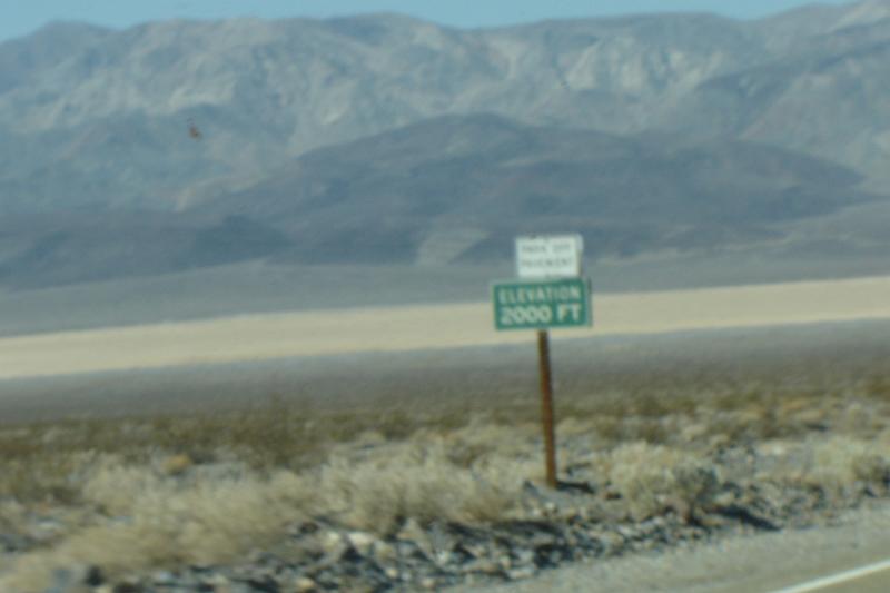 DSC02529.JPG