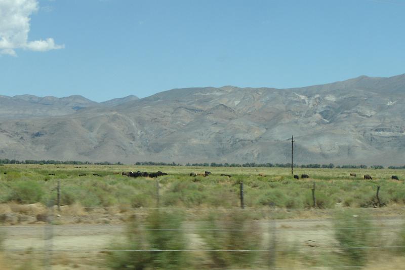DSC02573.JPG