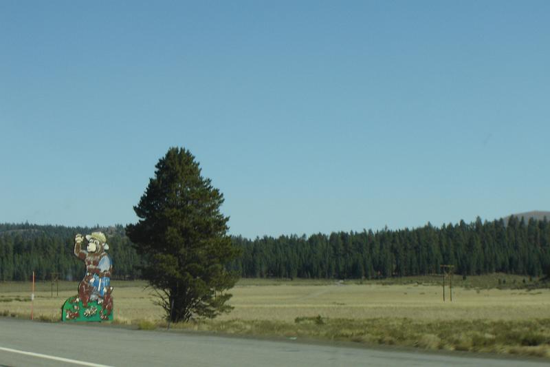 DSC02646.JPG