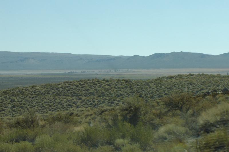 DSC02685.JPG