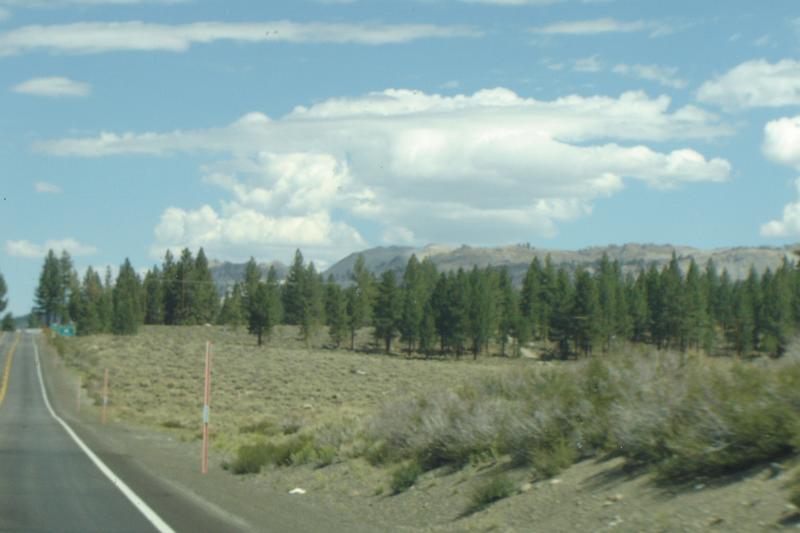 DSC02772.JPG