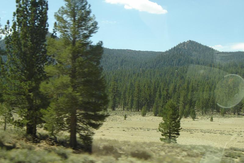 DSC02778.JPG