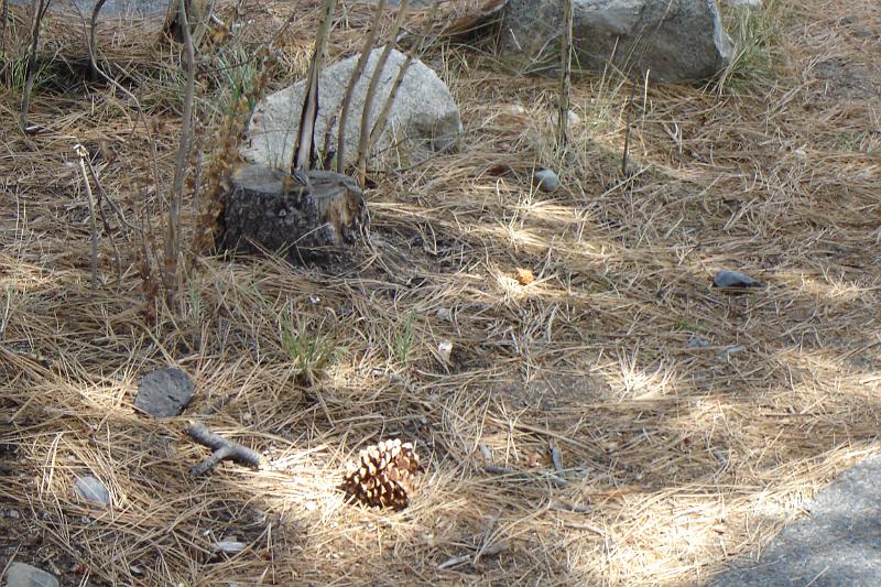 DSC02786.JPG