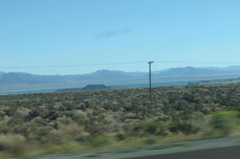 DSC02835.JPG