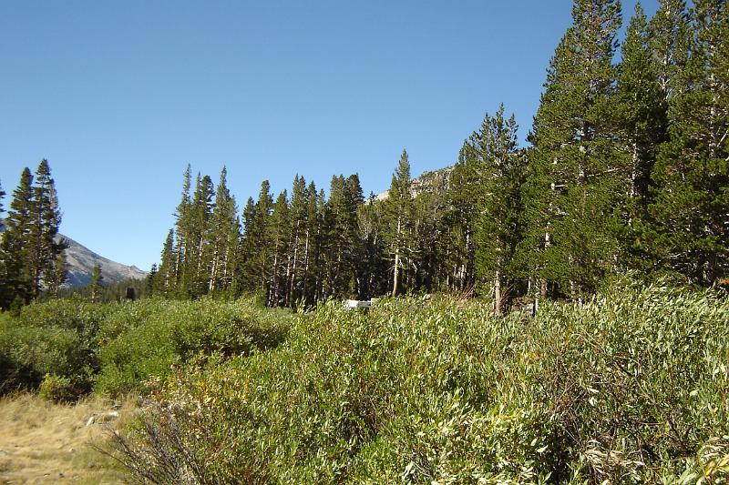 DSC02849.JPG