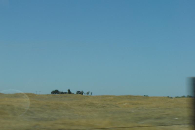 DSC02895.JPG