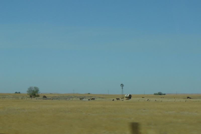 DSC02896.JPG