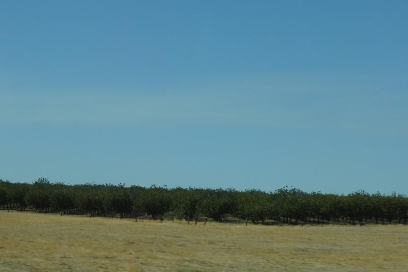 DSC02899.JPG