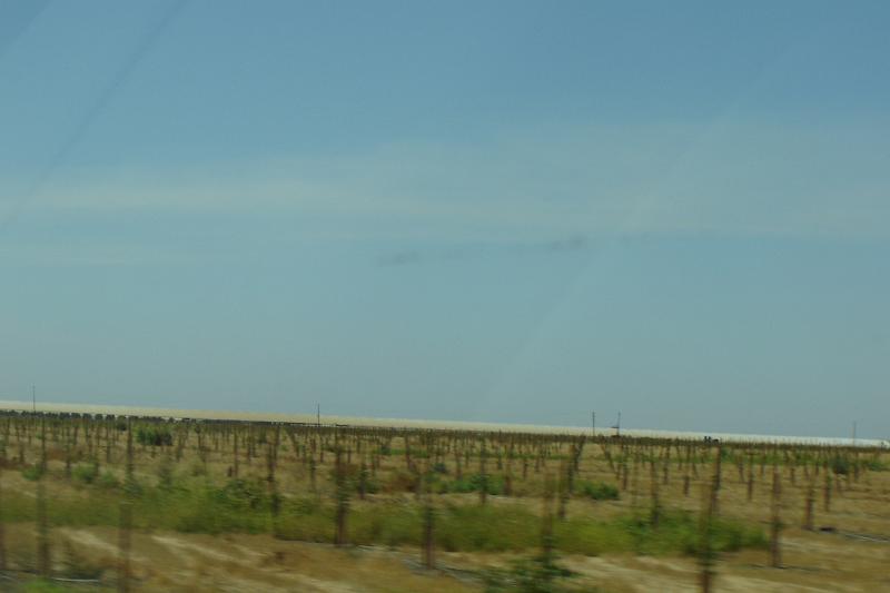 DSC02901.JPG