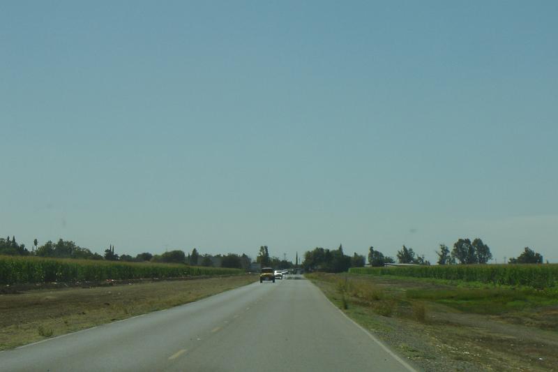DSC02902.JPG