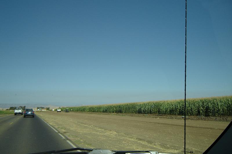 DSC02914.JPG