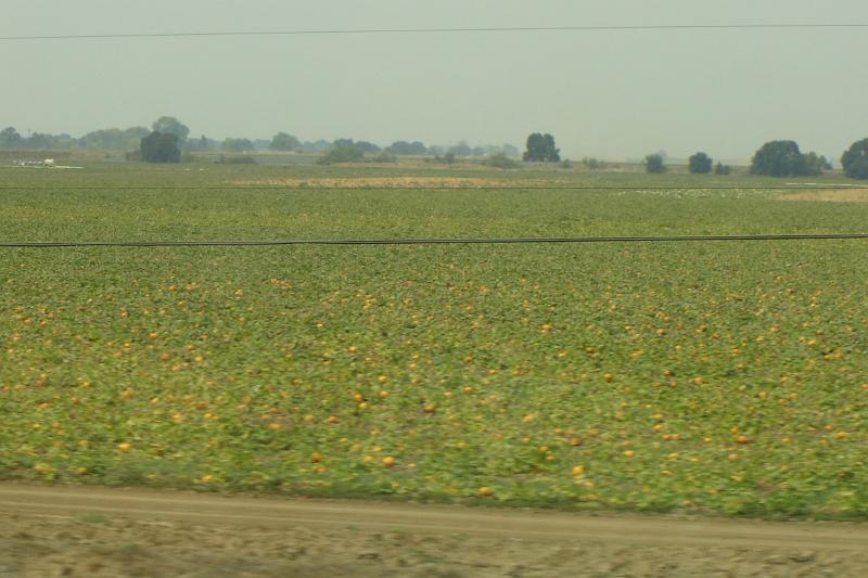 DSC02997.JPG