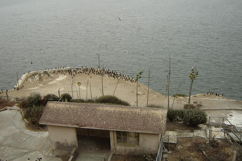 DSC03115.JPG