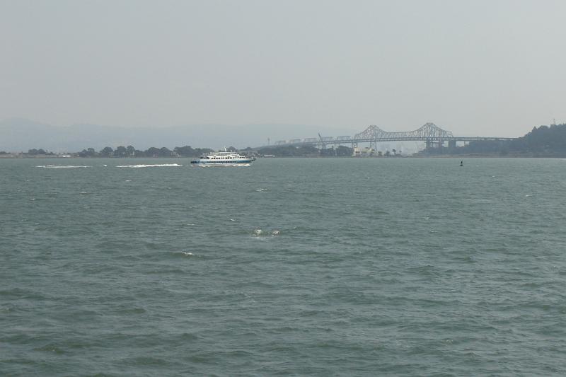 DSC03147.JPG