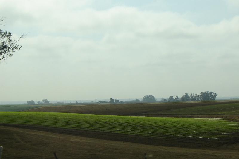 DSC03199.JPG