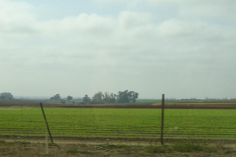 DSC03200.JPG