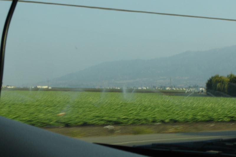 DSC03211.JPG