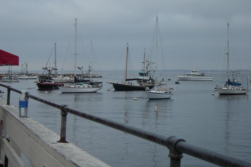 DSC03247.JPG