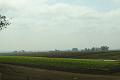 DSC03199