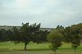 DSC03219