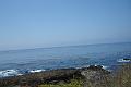 DSC03275