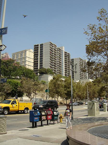 DSC01413.JPG
