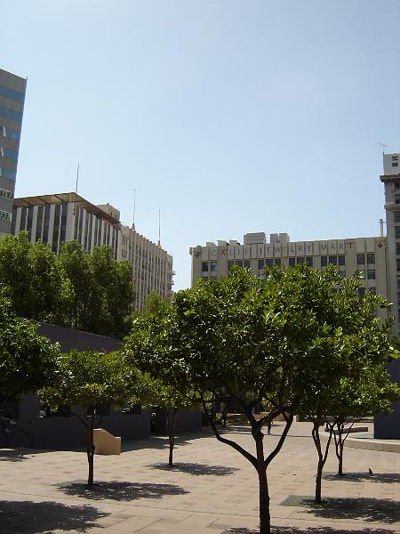 DSC01421.JPG
