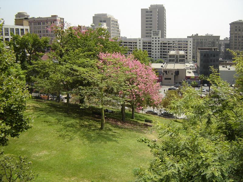 DSC01426.JPG