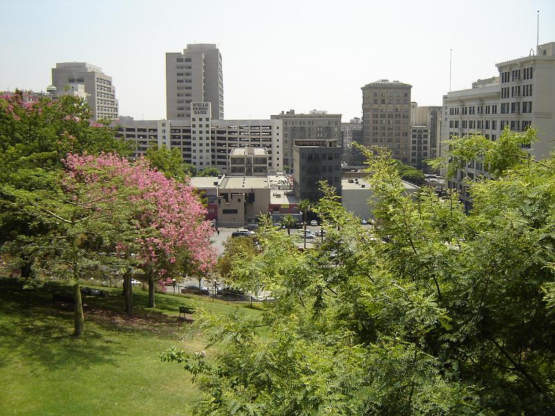 DSC01427.JPG