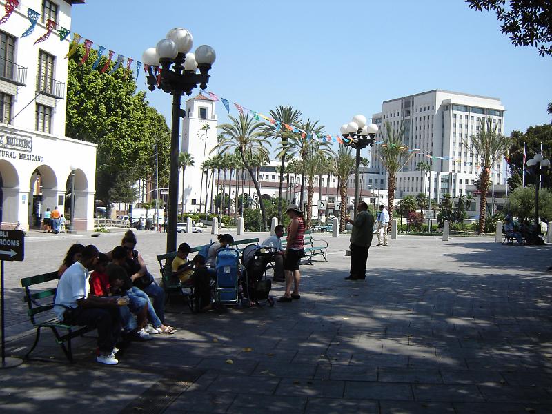 DSC01433.JPG