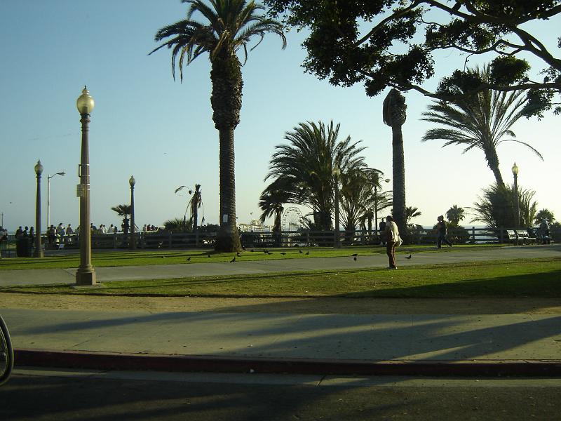 DSC01452.JPG