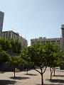 DSC01421