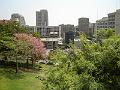 DSC01427