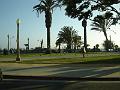 DSC01452