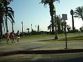 DSC01453