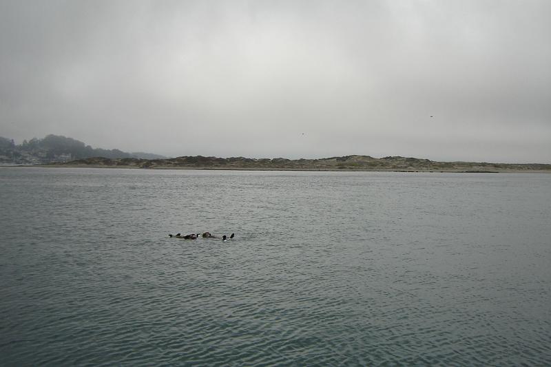 DSC03358.JPG