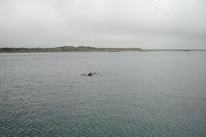 DSC03359.JPG