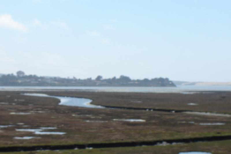 DSC03373.JPG