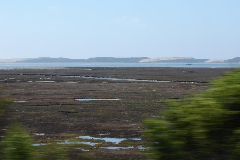 DSC03374.JPG