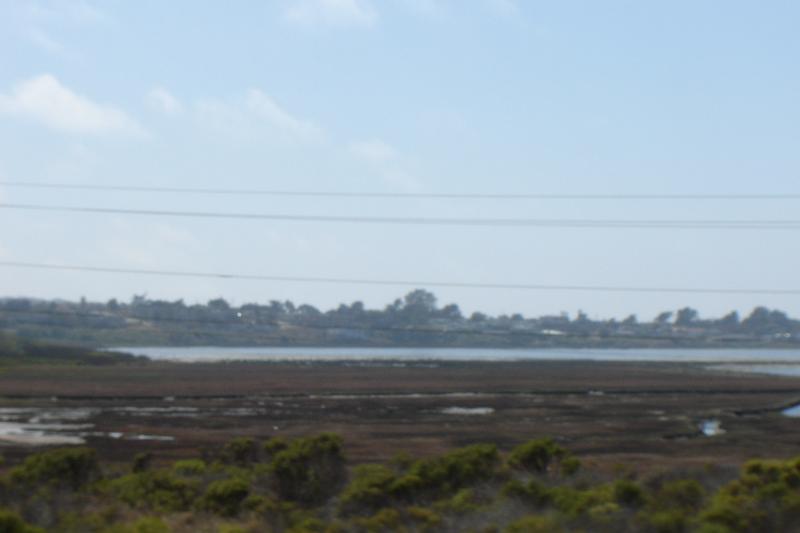 DSC03375.JPG