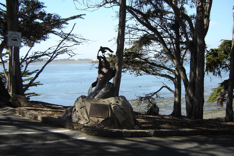 DSC03383.JPG