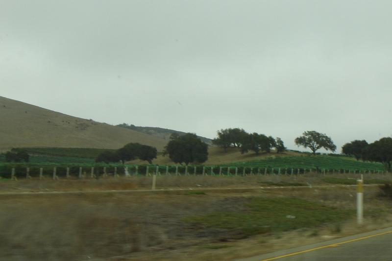 DSC03405.JPG