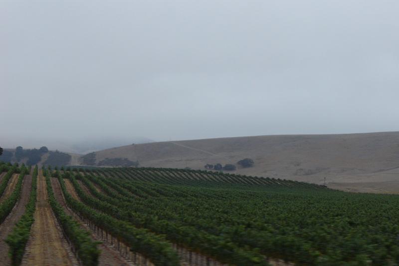 DSC03407.JPG