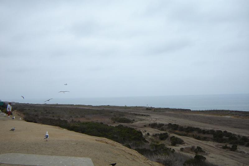 DSC01477.JPG