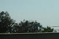 DSC01481