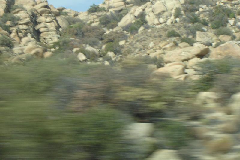 DSC01494.JPG