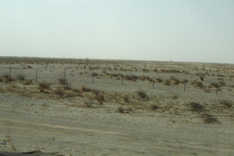 DSC01495.JPG