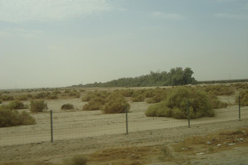 DSC01498.JPG