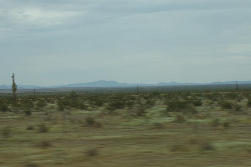 DSC01533.JPG