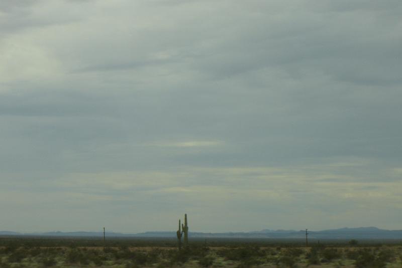 DSC01534.JPG
